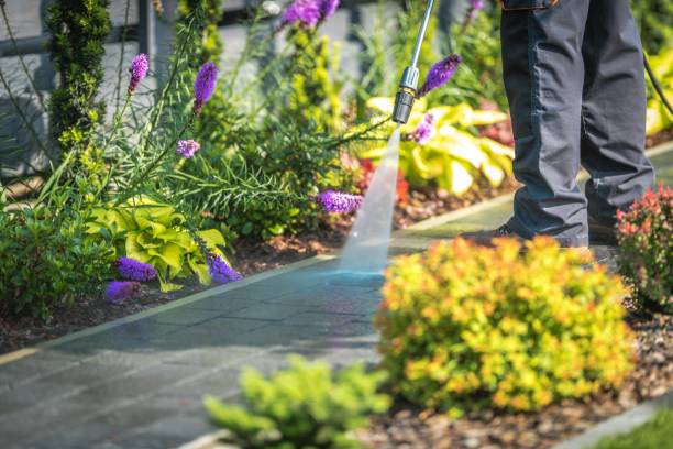 Trusted Altoona, WI Pressure Washing Services Experts
